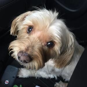 Meet your Posher, Sheri